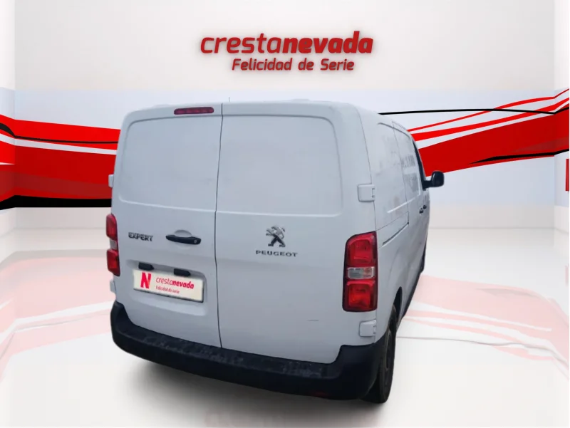 Imagen de Peugeot Expert