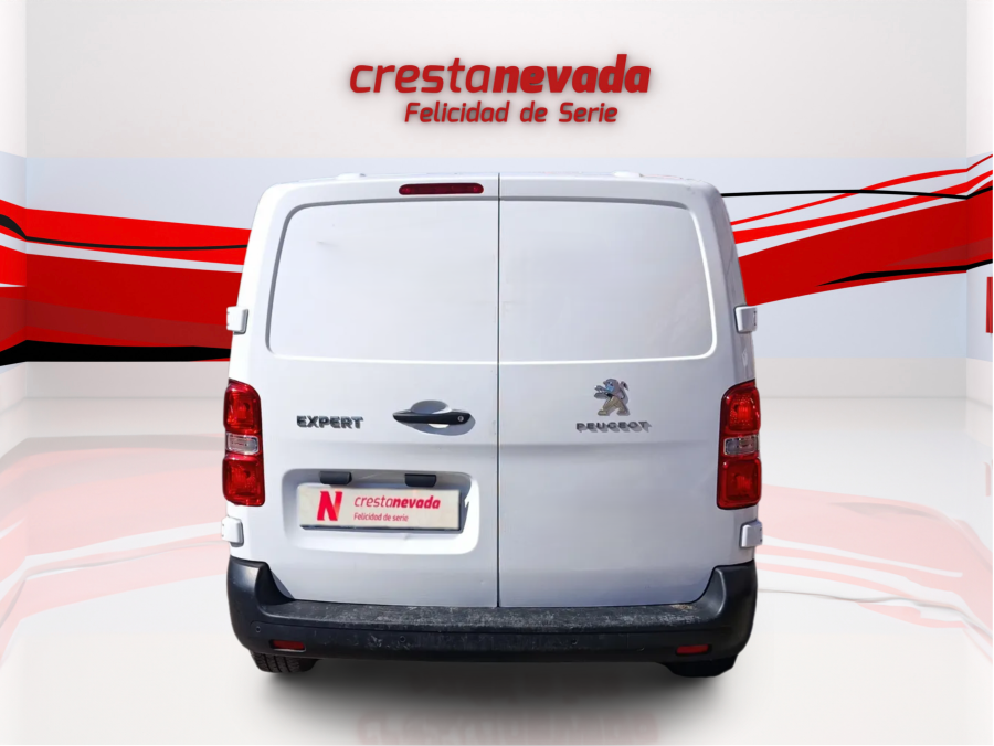 Imagen de Peugeot Expert