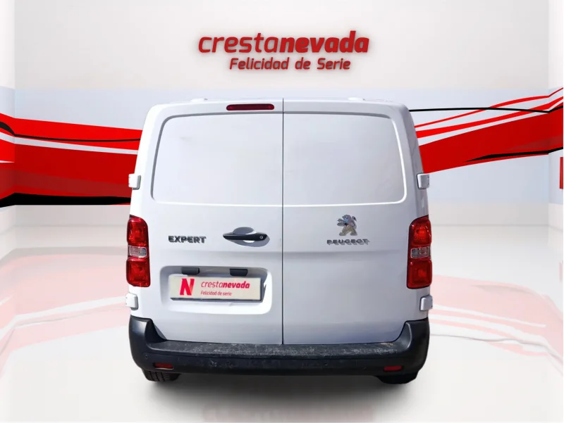 Imagen de Peugeot Expert