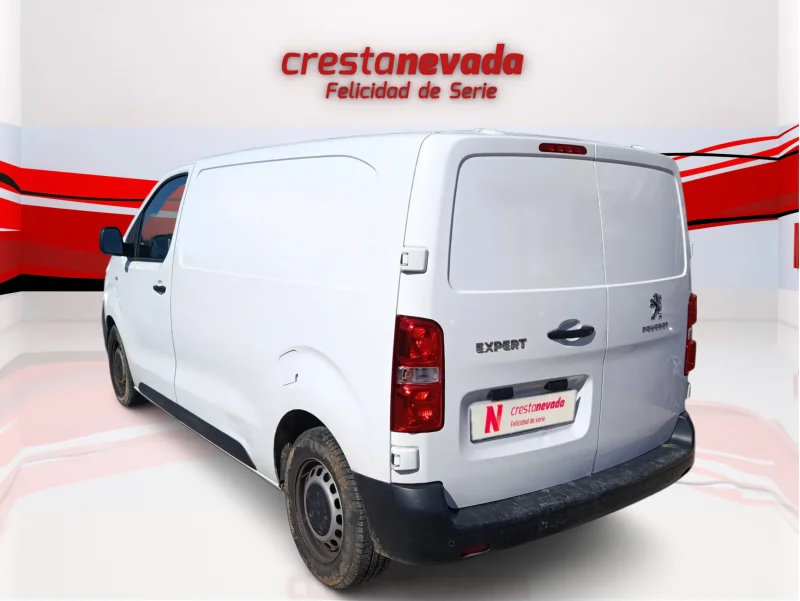 Imagen de Peugeot Expert