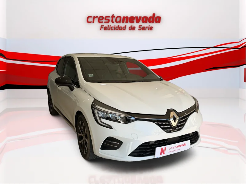 Imagen de Renault Clio