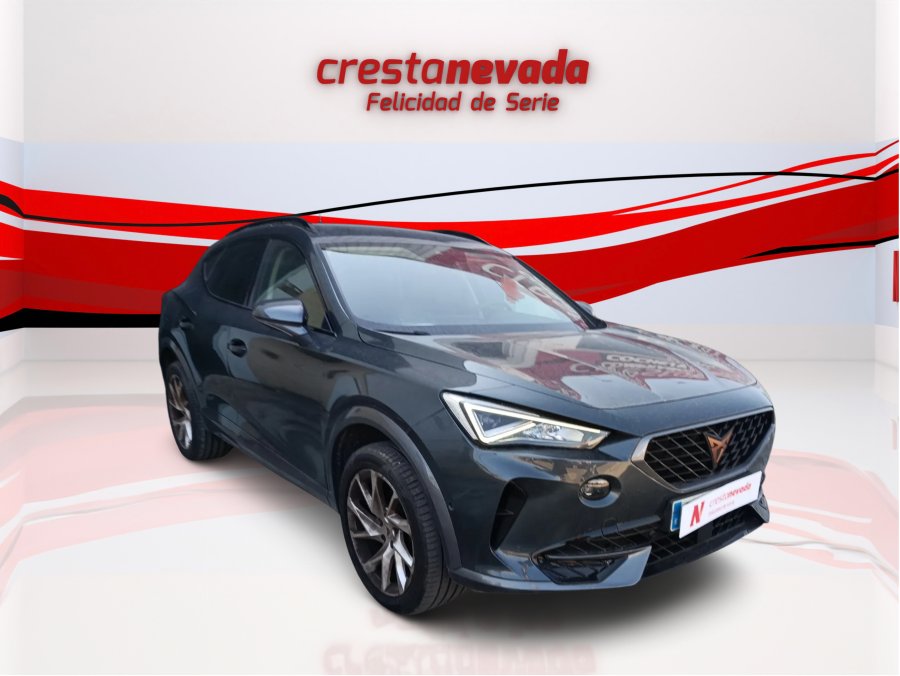 Imagen de cupra Formentor
