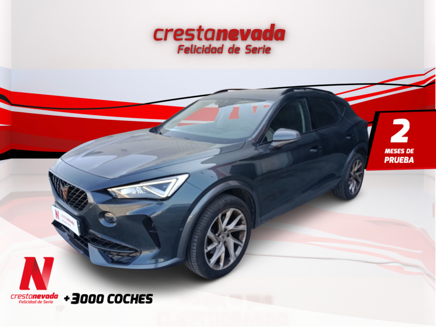 Imagen de cupra Formentor