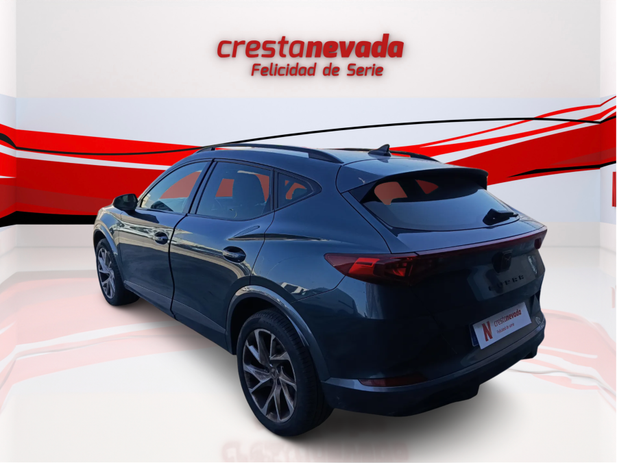 Imagen de cupra Formentor