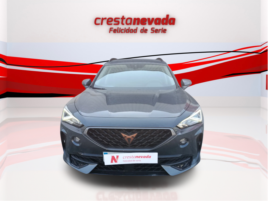 Imagen de cupra Formentor