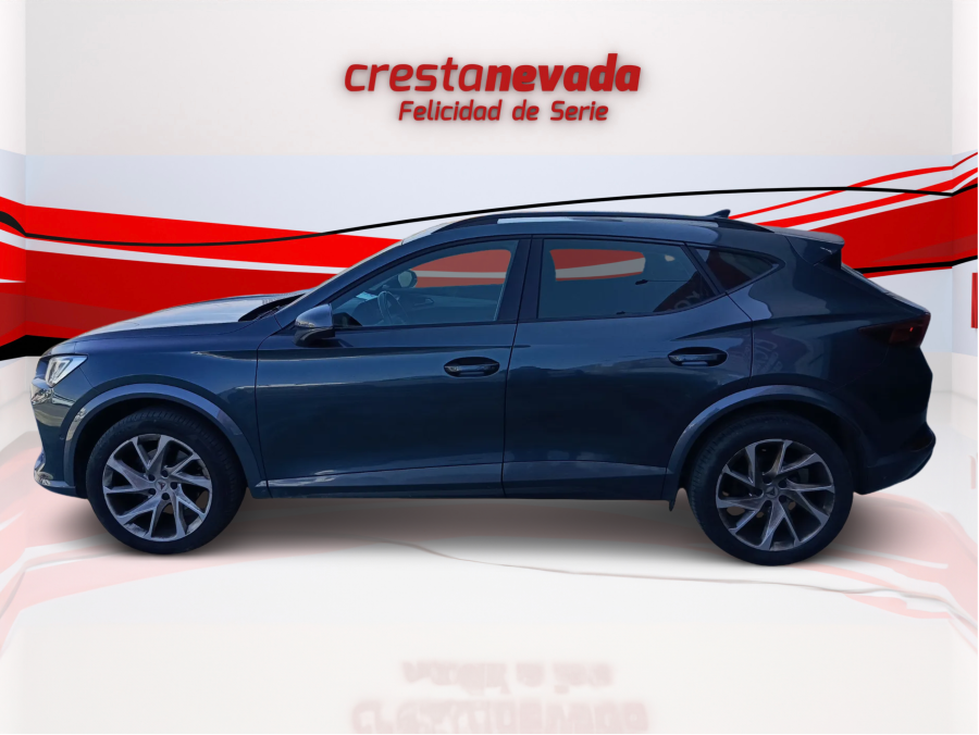 Imagen de cupra Formentor