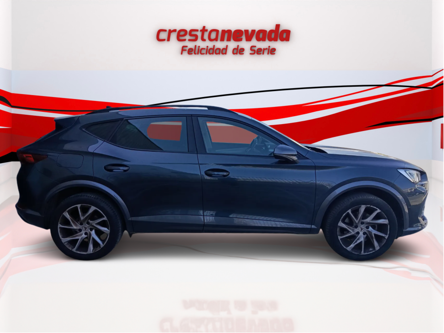Imagen de cupra Formentor