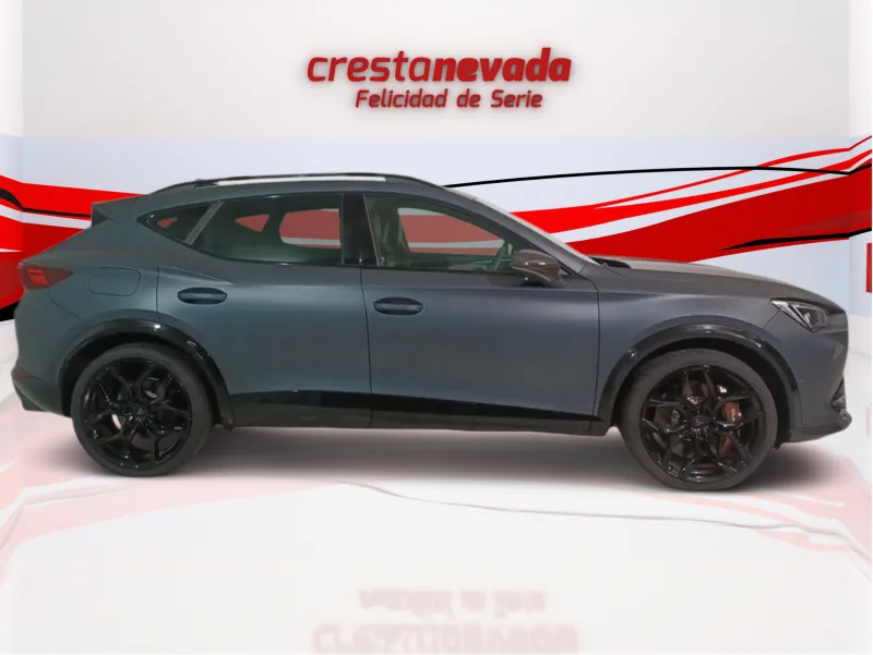 Imagen de cupra Formentor