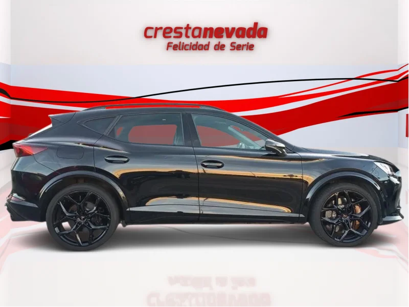 Imagen de cupra Formentor