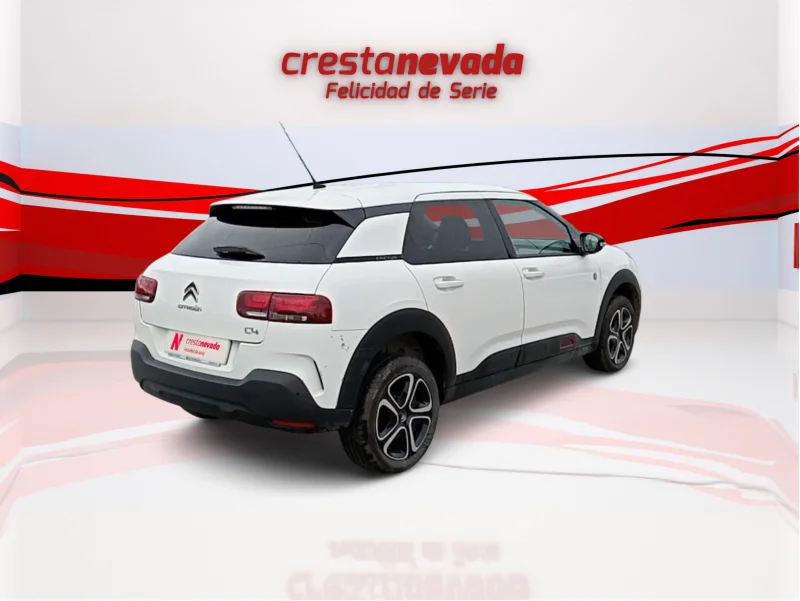 Imagen de CITROEN C4 Cactus