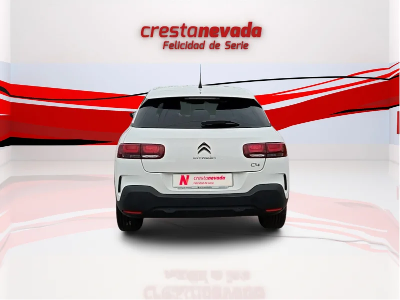 Imagen de CITROEN C4 Cactus
