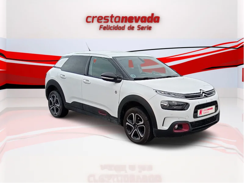 Imagen de CITROEN C4 Cactus