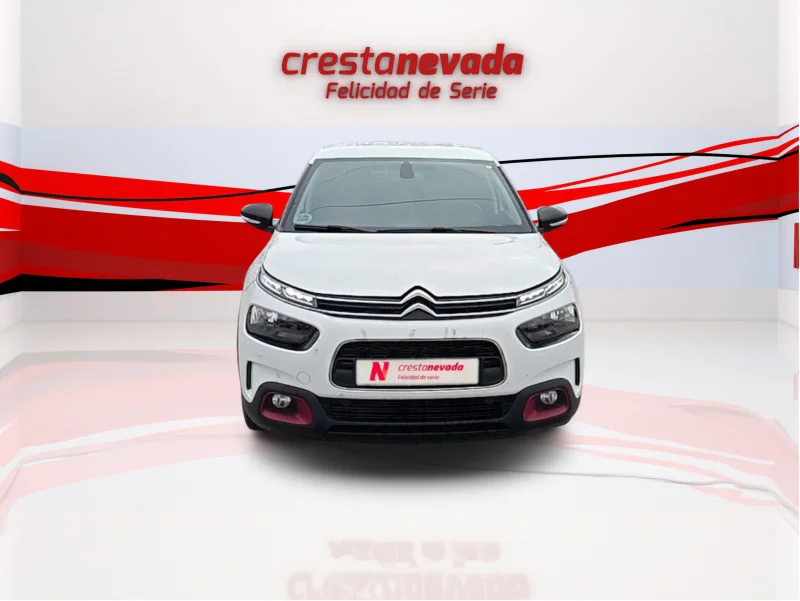 Imagen de CITROEN C4 Cactus