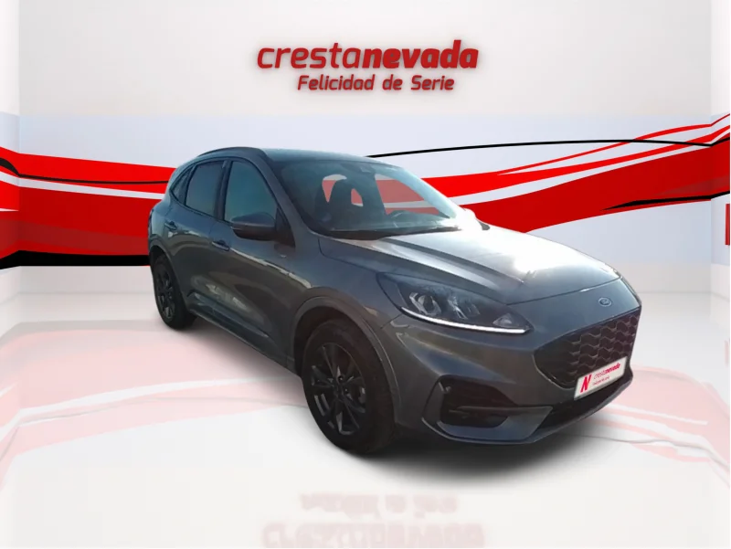 Imagen de Ford Kuga