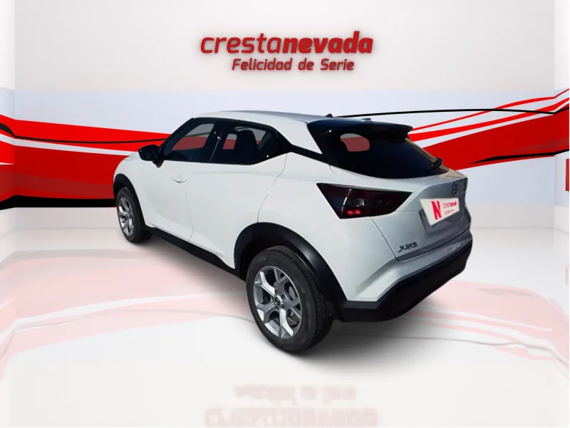 Imagen de NISSAN JUKE