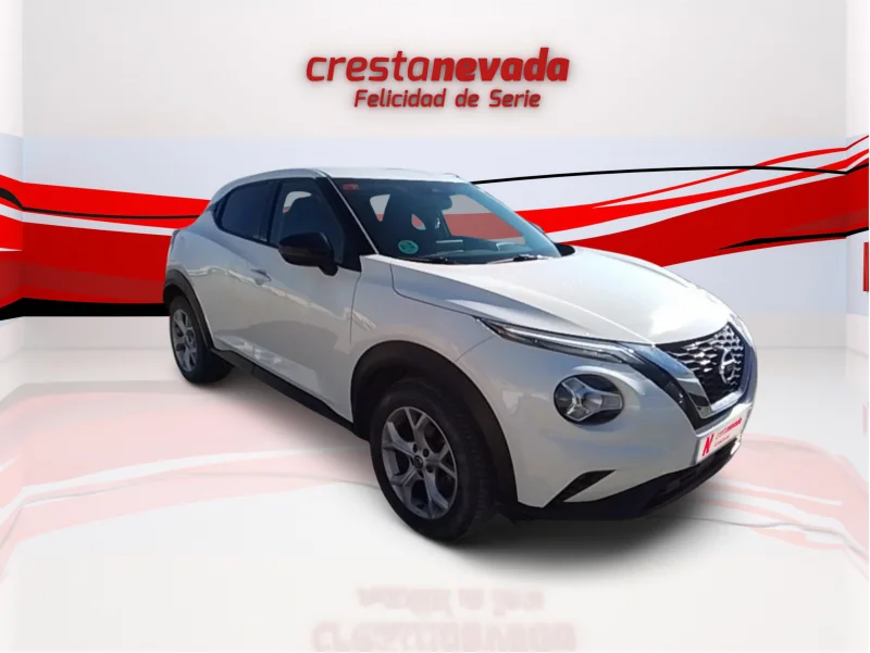 Imagen de NISSAN JUKE