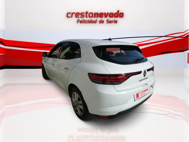 Imagen de Renault Mégane