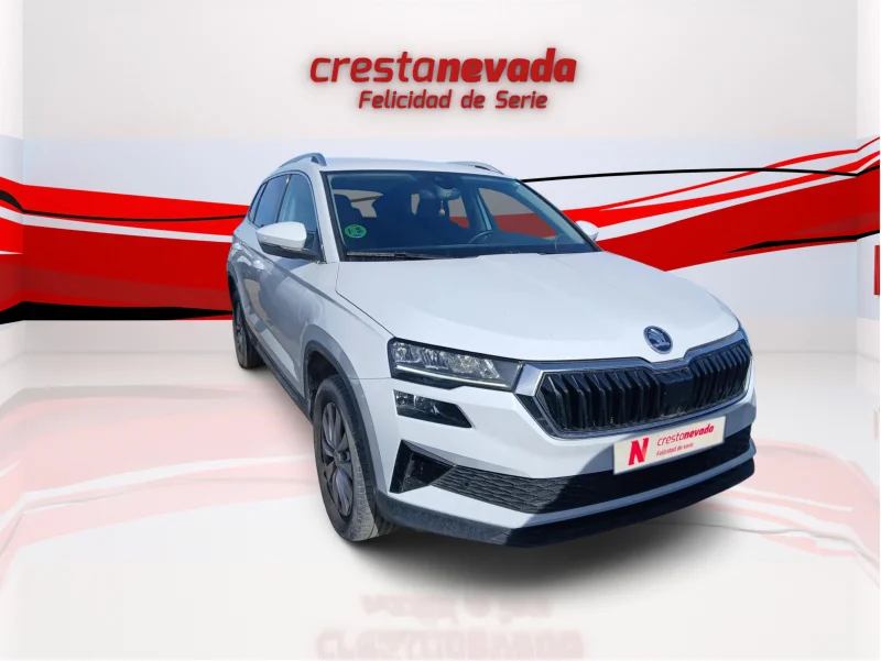 Imagen de Skoda Karoq