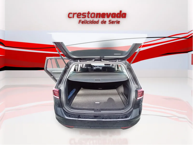 Imagen de Volkswagen Passat