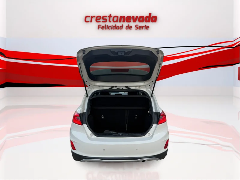 Imagen de Ford Fiesta