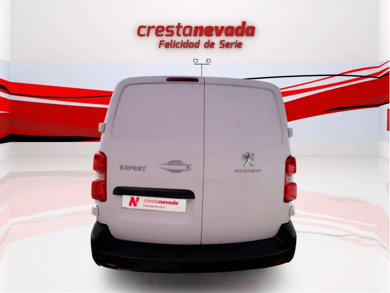 Imagen de Peugeot Expert