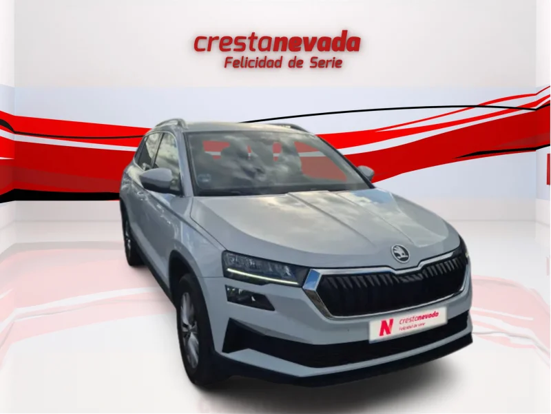 Imagen de Skoda Karoq