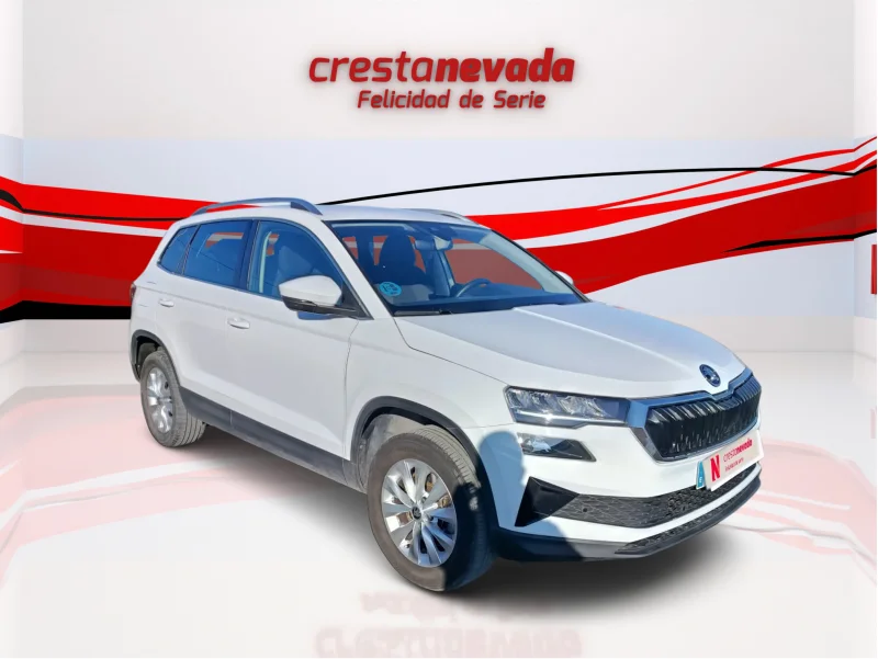 Imagen de Skoda Karoq