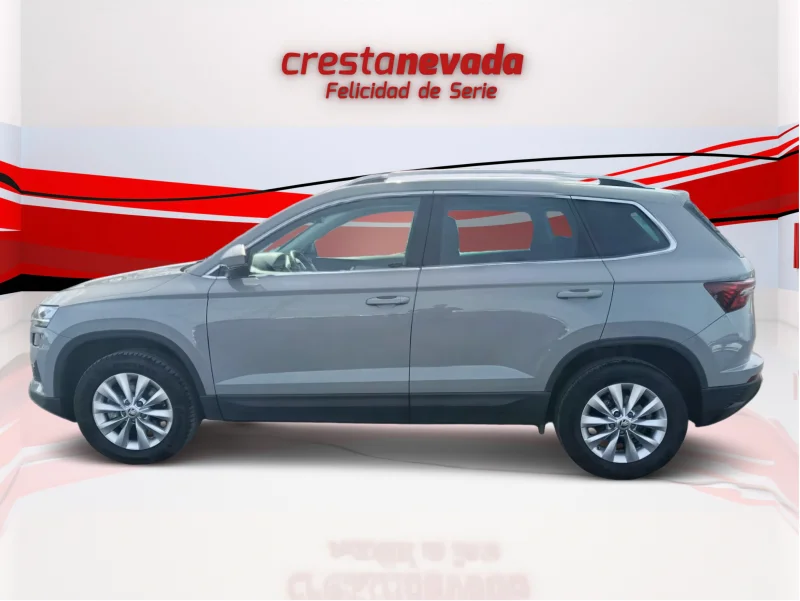 Imagen de Skoda Karoq