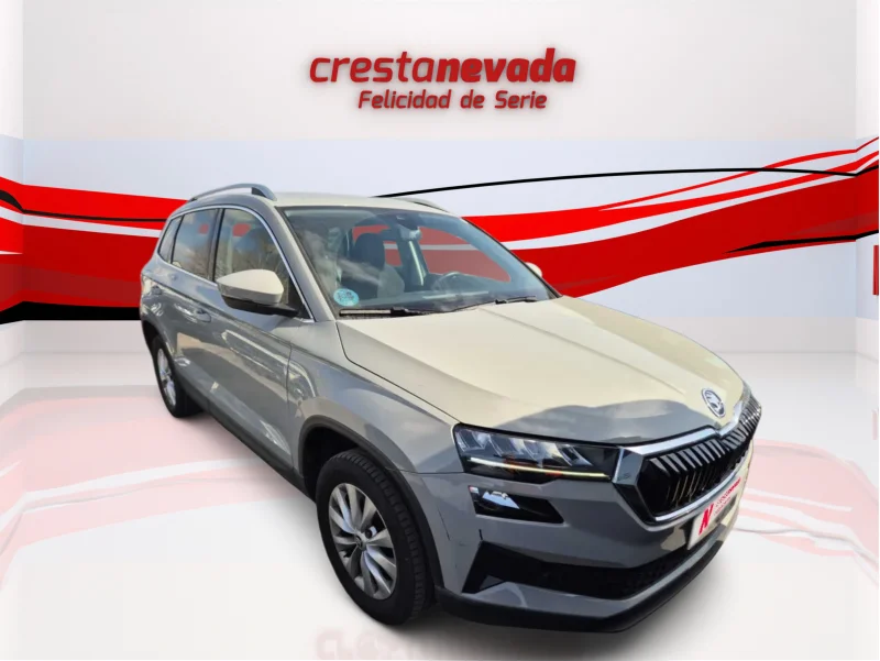 Imagen de Skoda Karoq