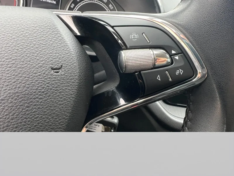 Imagen de Skoda Fabia