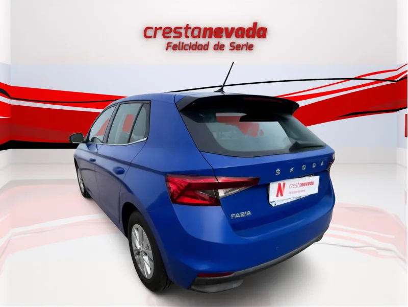 Imagen de Skoda Fabia