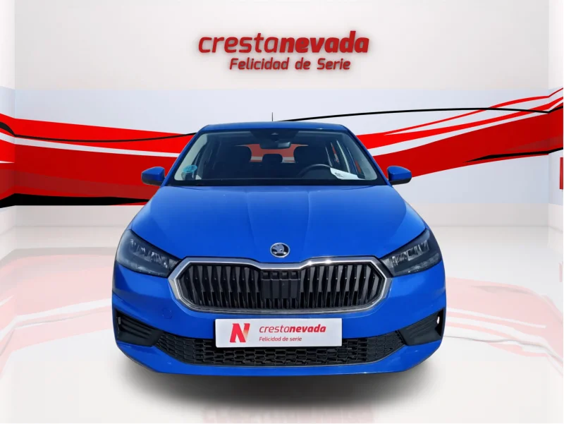 Imagen de Skoda Fabia