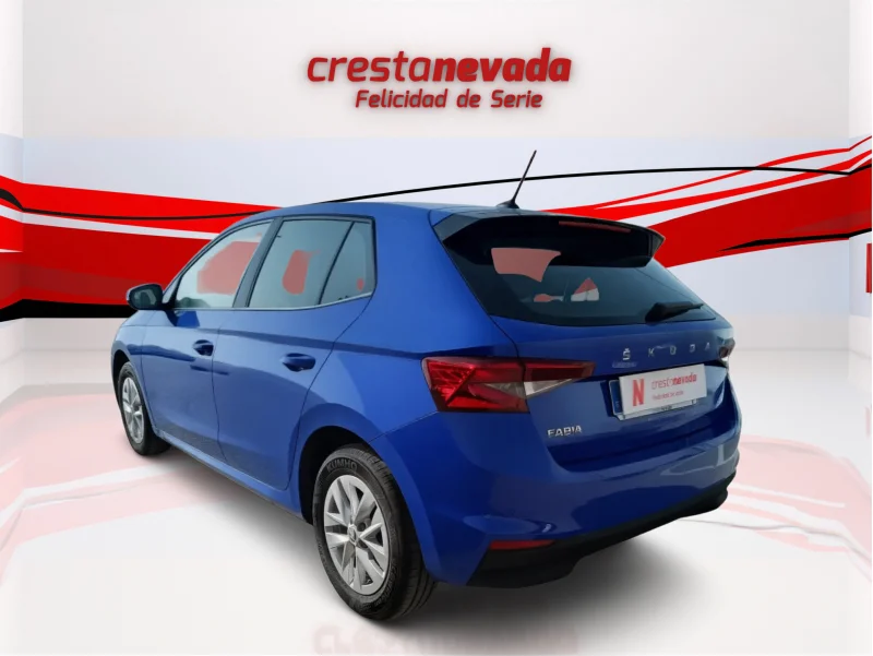 Imagen de Skoda Fabia