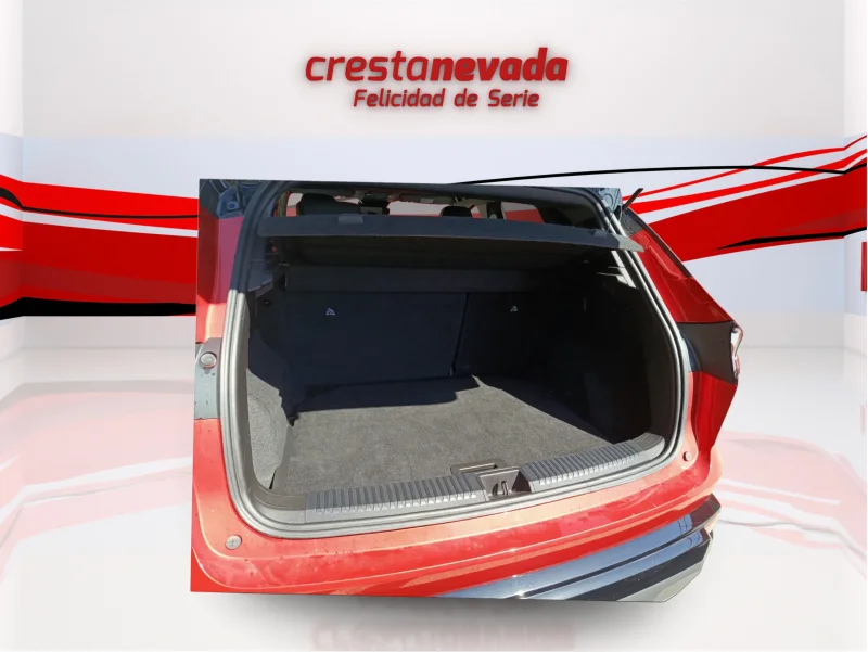 Imagen de Renault Austral