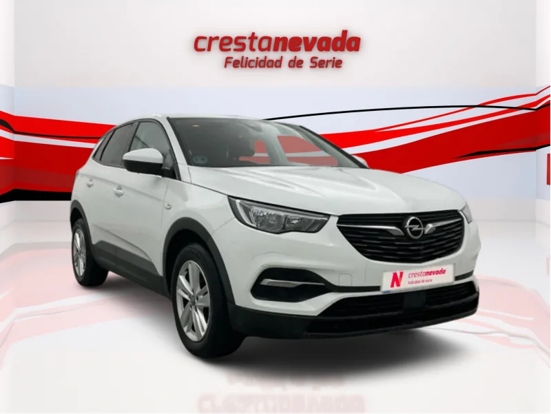 Imagen de Opel Grandland X