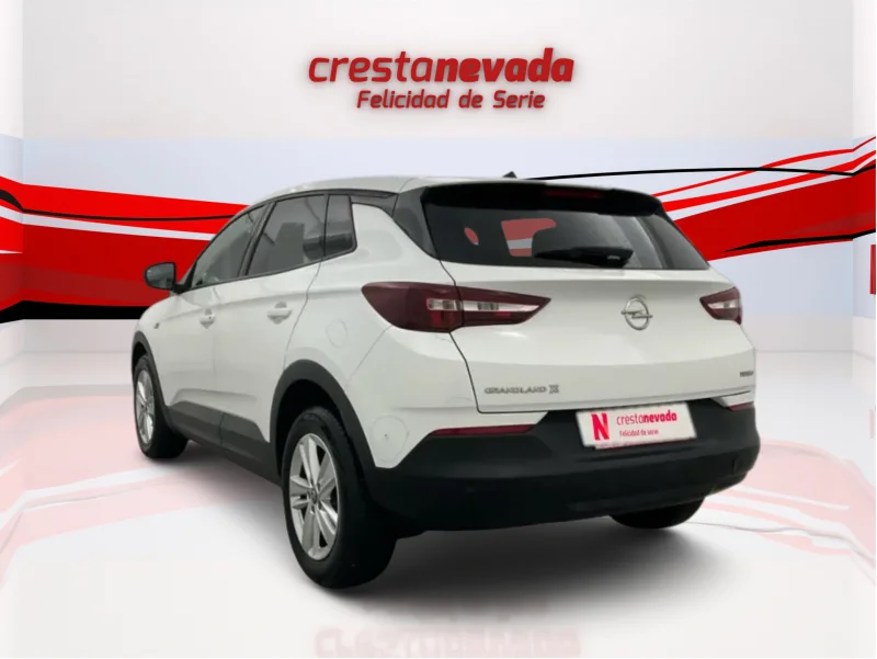 Imagen de Opel Grandland X