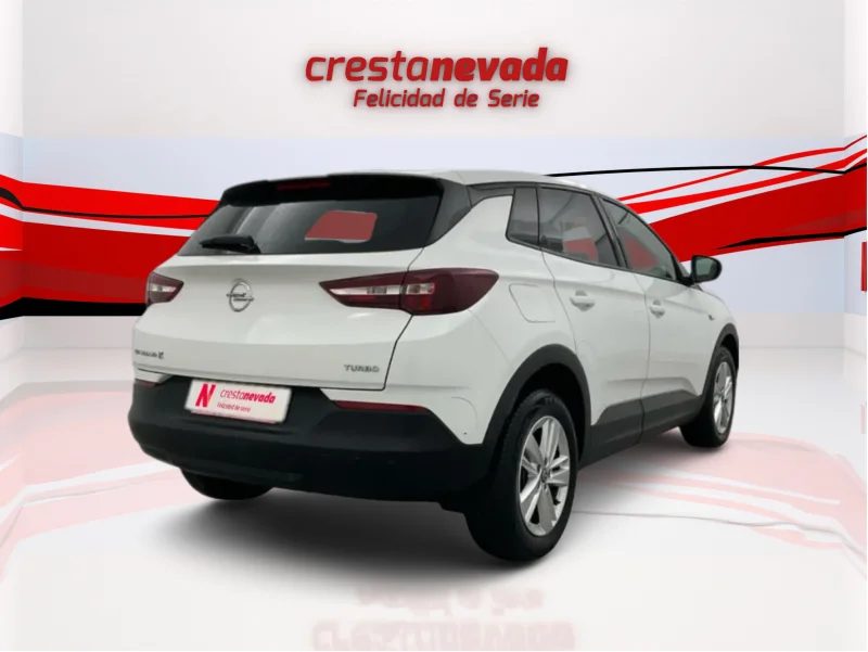 Imagen de Opel Grandland X