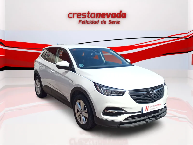 Imagen de Opel Grandland X