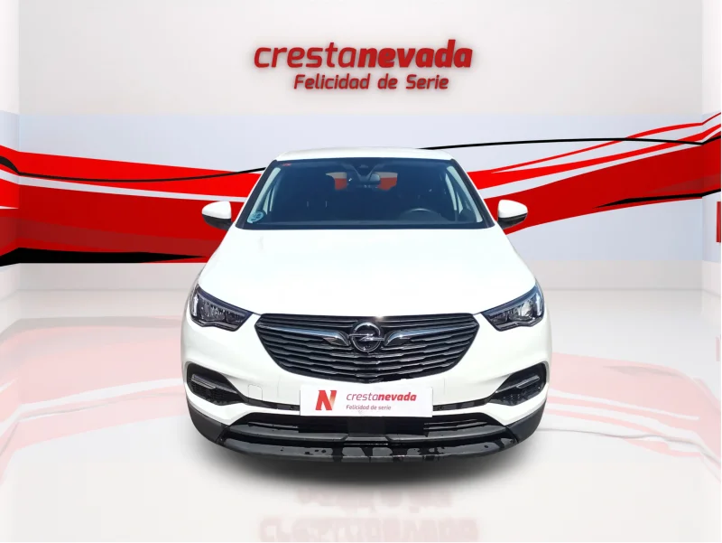Imagen de Opel Grandland X