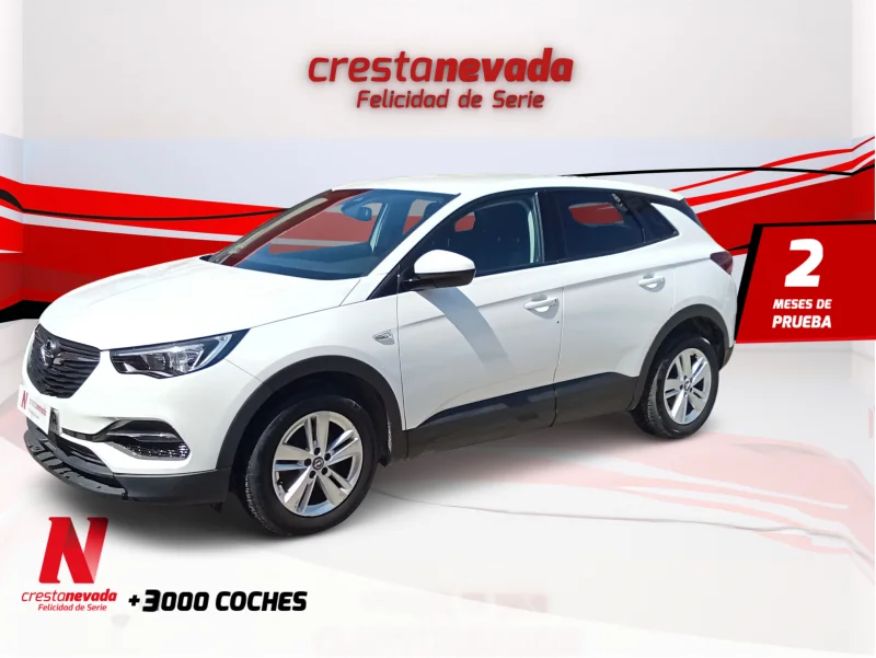 Imagen de Opel Grandland X