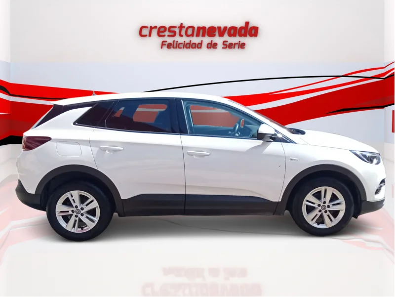 Imagen de Opel Grandland X
