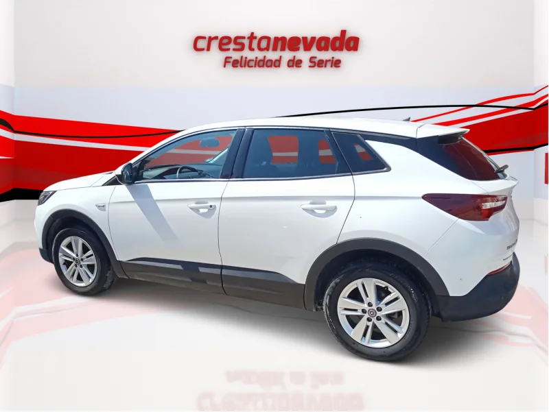 Imagen de Opel Grandland X