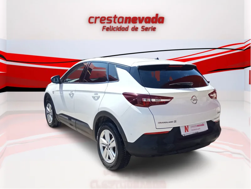 Imagen de Opel Grandland X