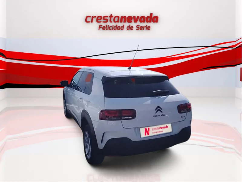 Imagen de CITROEN C4 Cactus