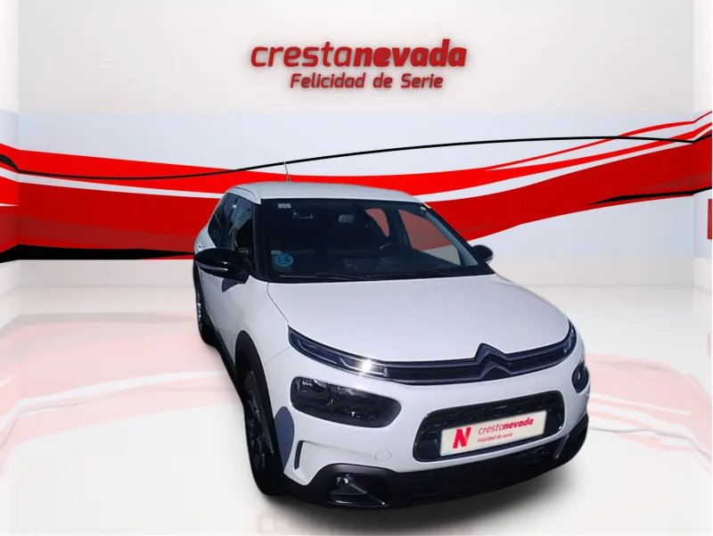 Imagen de CITROEN C4 Cactus