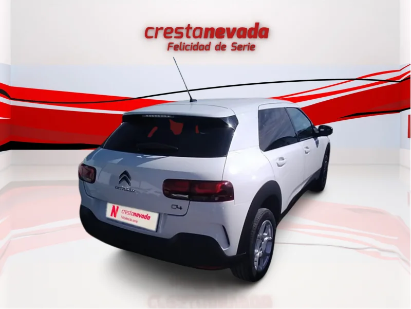 Imagen de CITROEN C4 Cactus