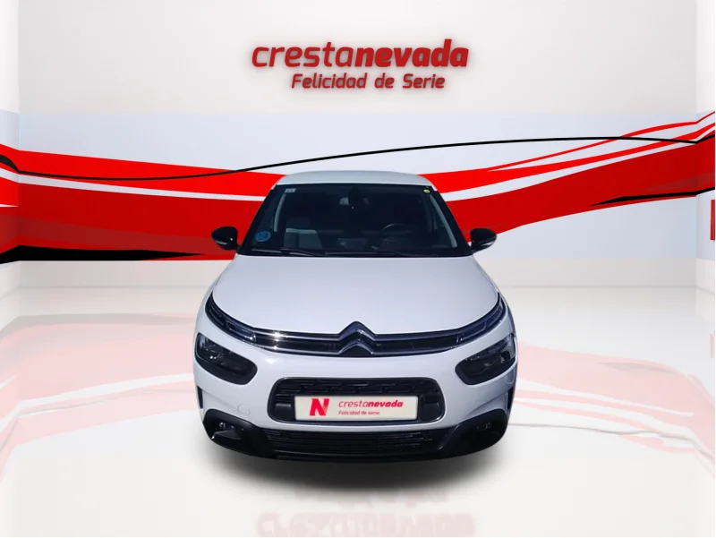Imagen de CITROEN C4 Cactus