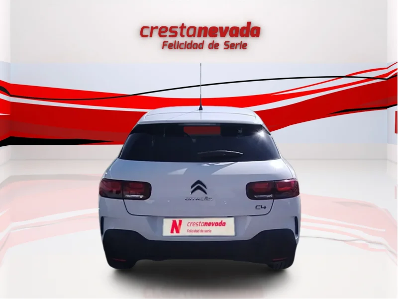 Imagen de CITROEN C4 Cactus