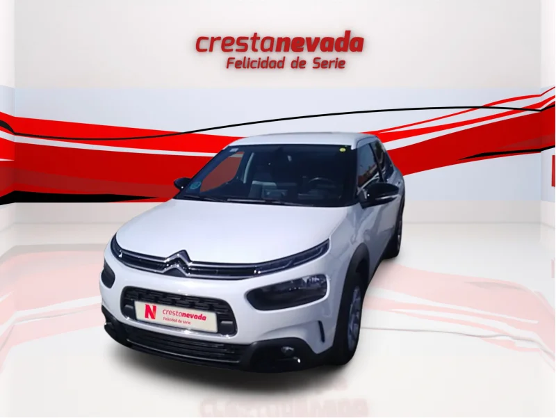 Imagen de CITROEN C4 Cactus