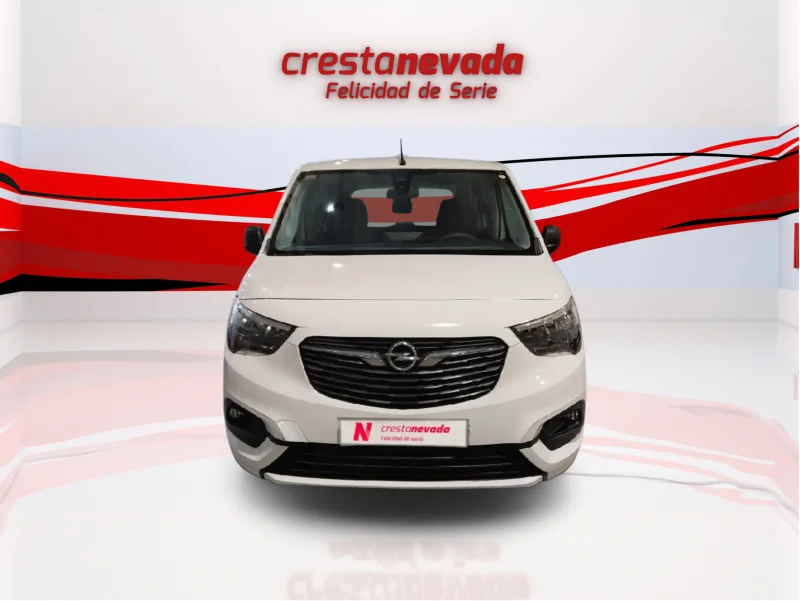 Imagen de Opel Combo